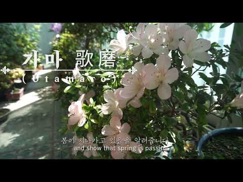 영상제작과 실습 중간과제