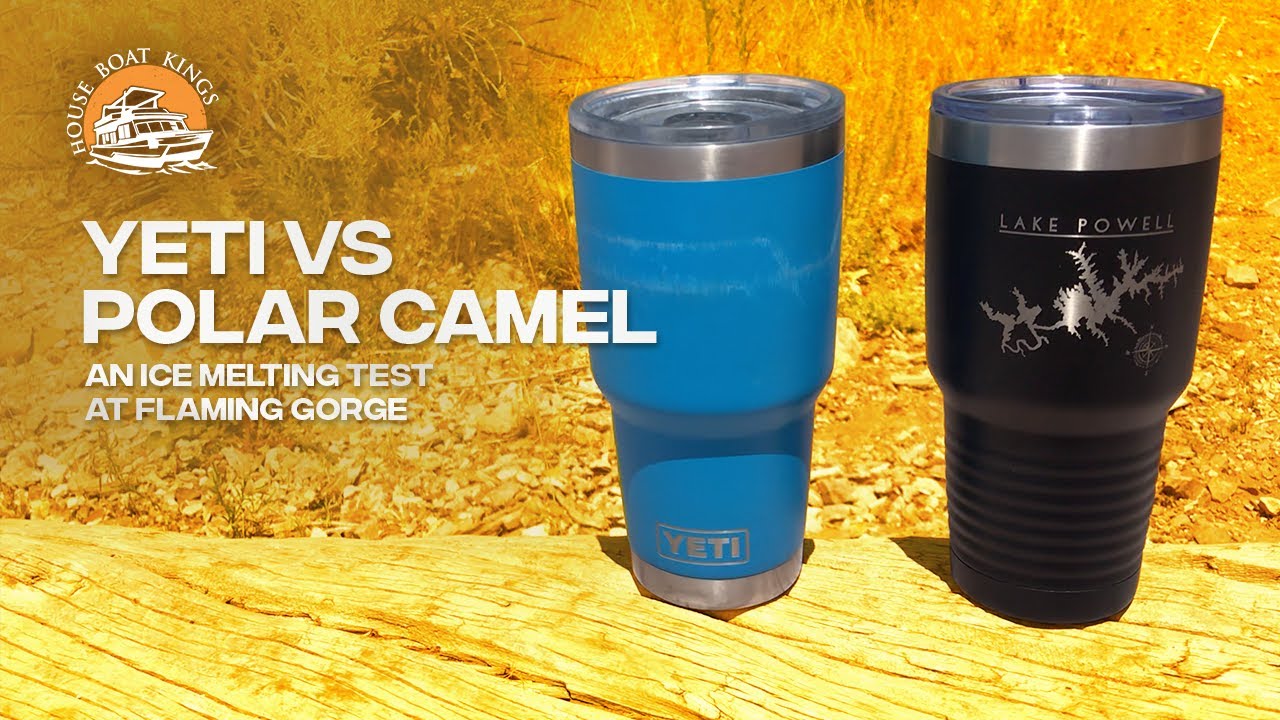 Michigan vs Everybody 20 or 30 oz. Laser Etched Yeti Tumbler or Polar Camel