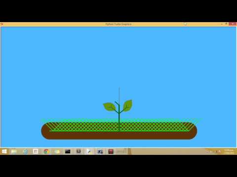 Python Flower Animation