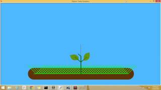 Python Flower Animation Net Worth