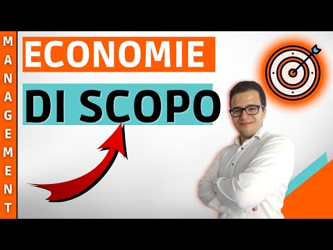 Video: Le economie di scopo?