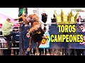 ¡RECOPILACION! PUROS TOROS CAMPEONES EN EL JARIPEO (PARTE1)