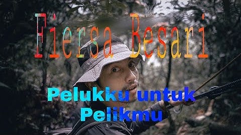 Fiersa Besari - Pelukku untuk Pelikmu (official lirik)