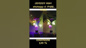 Mushroom Sensor LED Night Light Wall Lamp