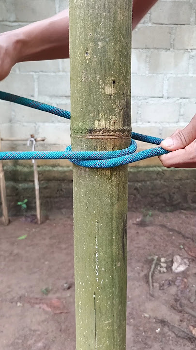 Best Rope Knot This Years 💯 #knot #shortvideo #knots #ropeknottutorial