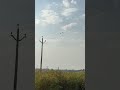 आप अपने आसपास में कौन-कौन से पक्षी देखते हैं उनके नाम लिखिए?(कमेंट इन हिंदी करें)#shorts #short