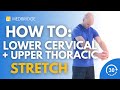 Standing lower cervical and upper thoracic stretch  medbridge