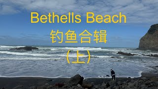 Bethells Beach 钓鱼合辑（上） Rock fishing on the West coast of Auckland 【NZ Lucy Vlog 107】