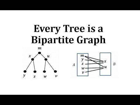 Vídeo: Cada arbre és un gràfic bipartit?