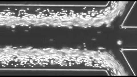 Shear modulated inertial microfluidic biochip: High throughput separation of circulating tumor cells