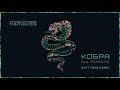 The HARDKISS feat. MONATIK - Кобра (Raft Tone Remix) [Official Audio]