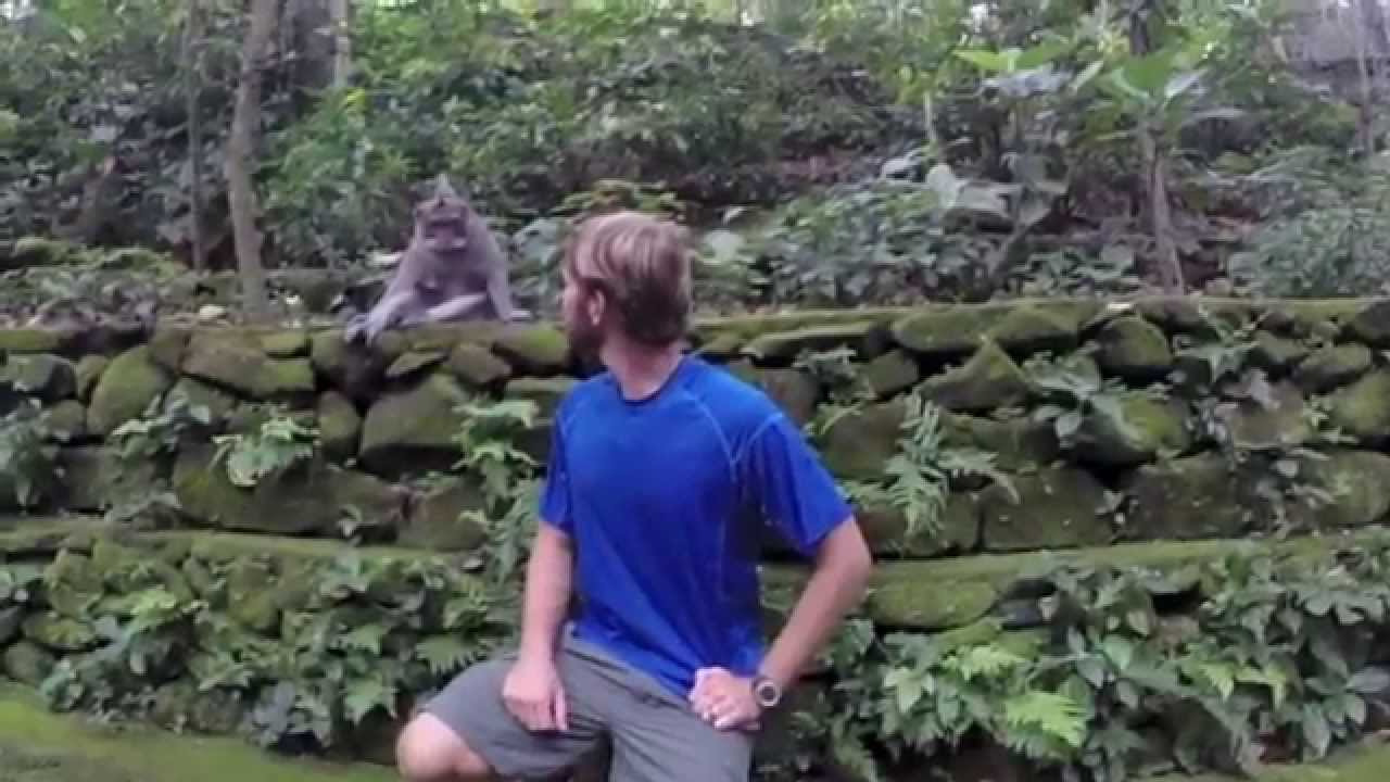 Ubud Sacred Monkey Forest - YouTube Buck