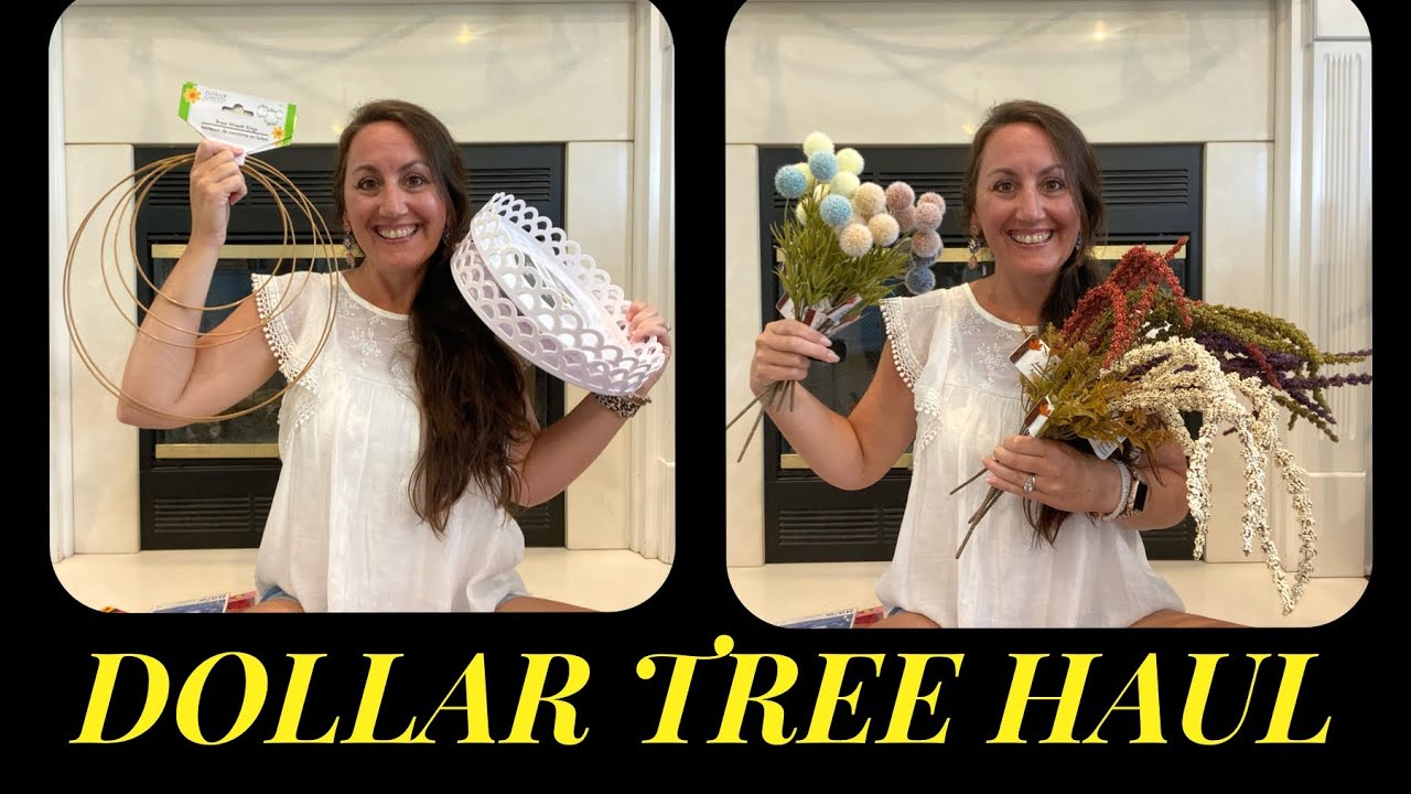 NEW DOLLAR TREE HAUL Plus Quick Funny Dollar Tree Story YouTube new-dollar-tree-haul-plus-quick-funny-dollar-tree-story-youtube