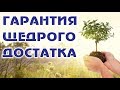 Гарантия щедрого достатка.  Илдус Хазрат Фаиз.