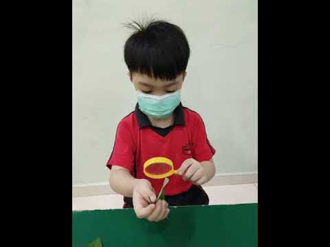 科学探索1