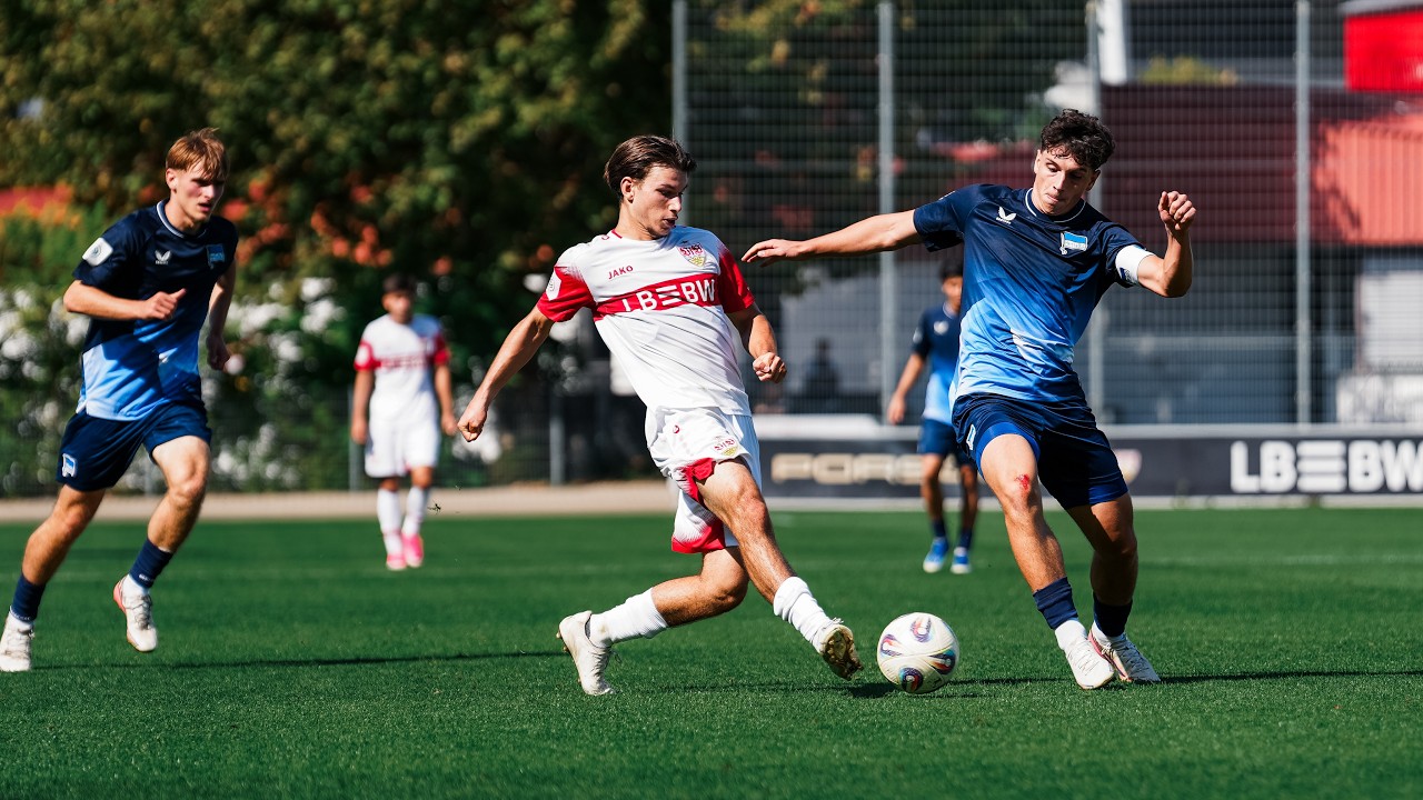 Highlights: VfB U19 - Hertha BSC