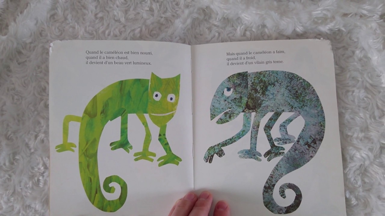 Le Caméléon Méli-Mélo - YouTube