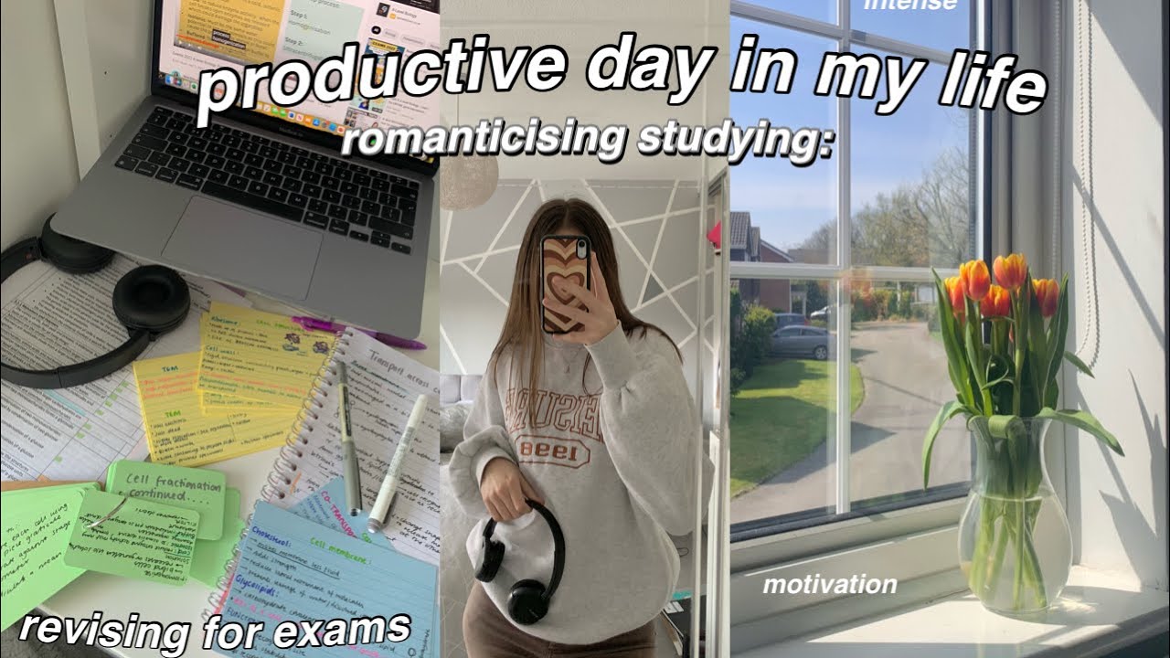 STUDY VLOG  lots of studying revision tips  being productive