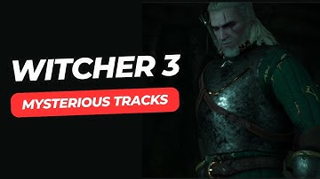 Witcher 3: Mysterious Tracks Contract - Walkthrough [PS4]