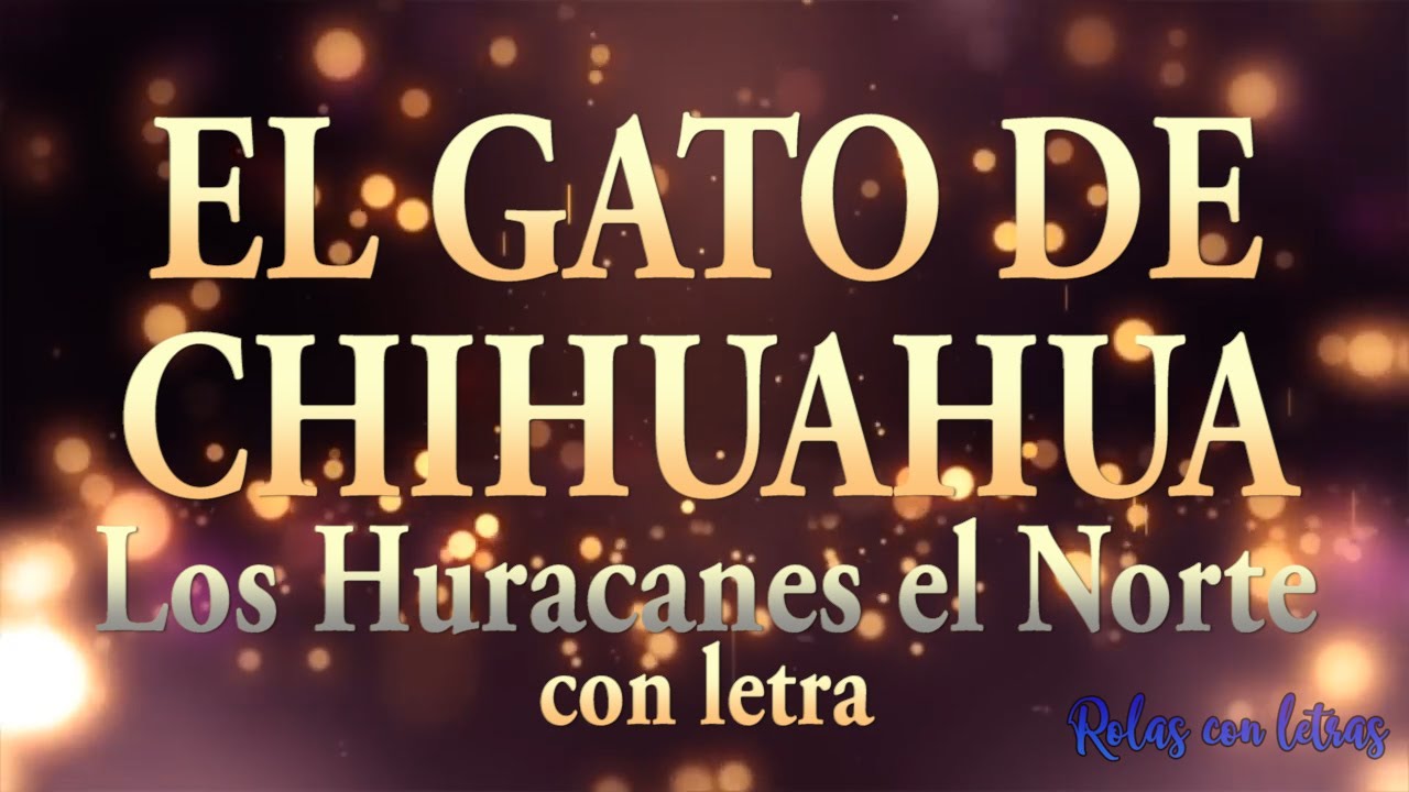 El gato de chihuahua - Los Huracanes del Norte (rolas con letra/lyric) El gato de chihuahua - Los Huracanes del Norte (rolas con letra/lyric)