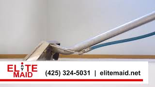 Elite Maid | Home Services, Interiors, Carpet Cleaning | Bellevue WA screenshot 2