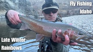 Late Winter Bows  Fly Fishing The Boise