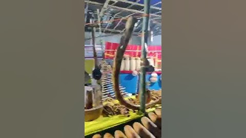 Srimanta sankardev sangha adhiveshan / Naharkatia rangoli pather