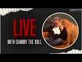 🔴 LIVE 🔴 Stories from #SammyTheBull  | EP. 45