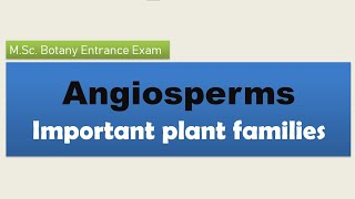 How to read efficiently Angiosperm plant families