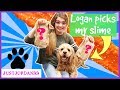 Dog Picks My Mystery Blind Bag Surprise Slime Ingredients In Real Life 2018 Challenge / JustJordan33