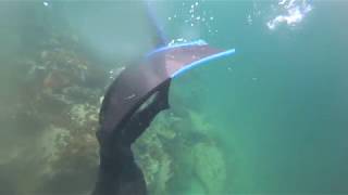 2Day Freediving Lofoten Bridge