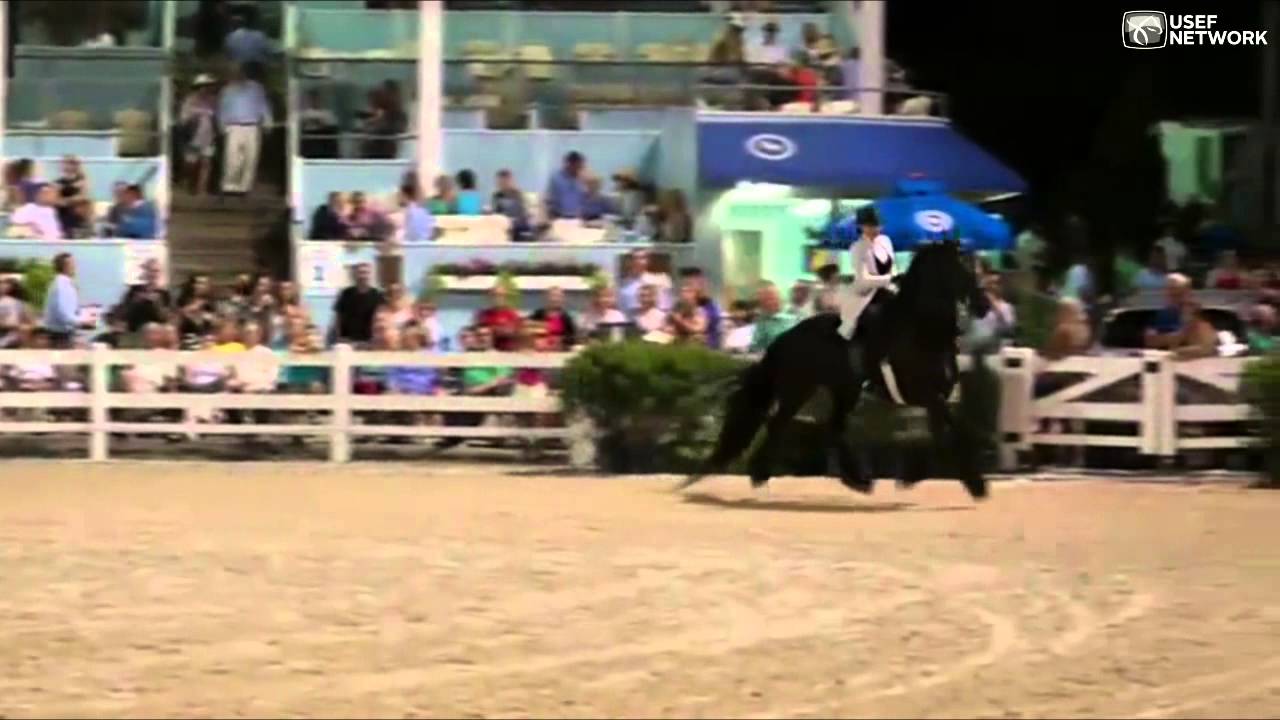 Friesian Horse Pleasure Saddle Championship at 