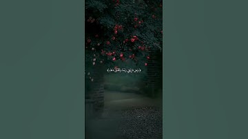 تلاوه تهتز لها القلوب بصوت القاريء الكبير الشيخ عبد الباسط عبد الصمد