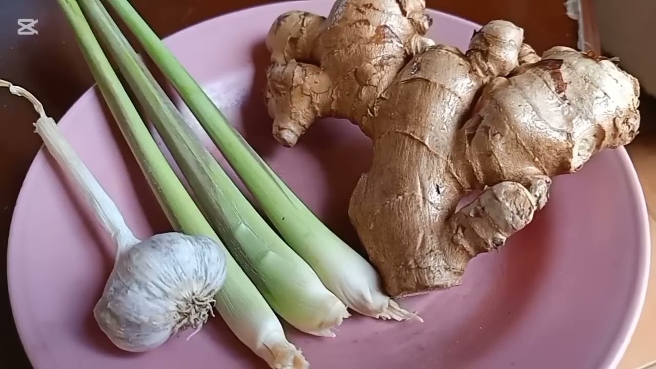 Uu27//2025. Qhia tshuaj zoo kho mob caum m