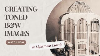 Creating Toned B&W images in Lightroom Classic