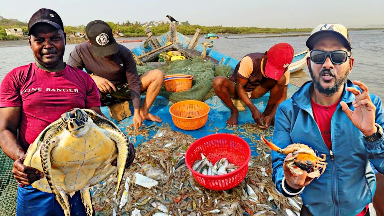आज डोलीत आला खूप मोठा समुद्री कासव | डोलीला झाली सुरुवात | आज डोलीत कोळब्यांचा पाऊस | Indian Fishing