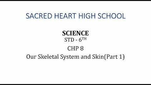 Std: VI: Science: Chp 8: Our Skeletal system and Skin ( Part 1 )
