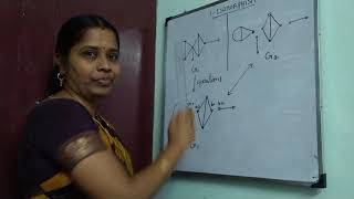 1 ISOMORPHISM