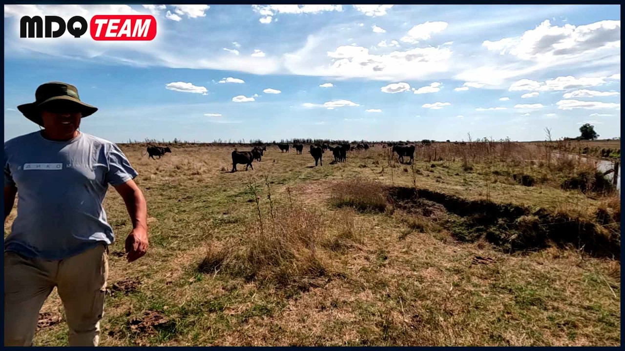 PESCA DE CARPAS EN EL CANAL MDQ Team