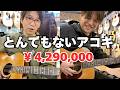 【三木楽器Smalls guitar shop (御茶ノ水)】とんでもないアコギを弾きました！