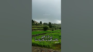 (وإن لكم في ٱلأَنۡعَٰم لَعِبرَةٗۖ نُّسقِيكُم مِّمَّا في بُطُونه...(66)#قرآن#سورة_النحل#عبدالله_الخلف