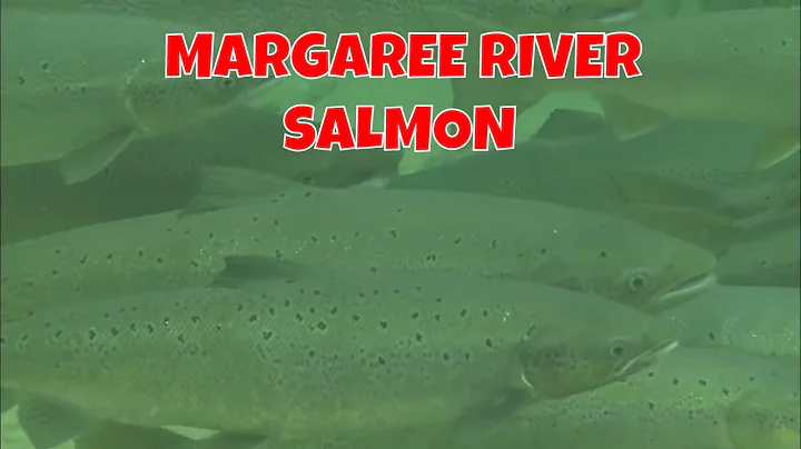 Margaree River Fishing | Cape Breton