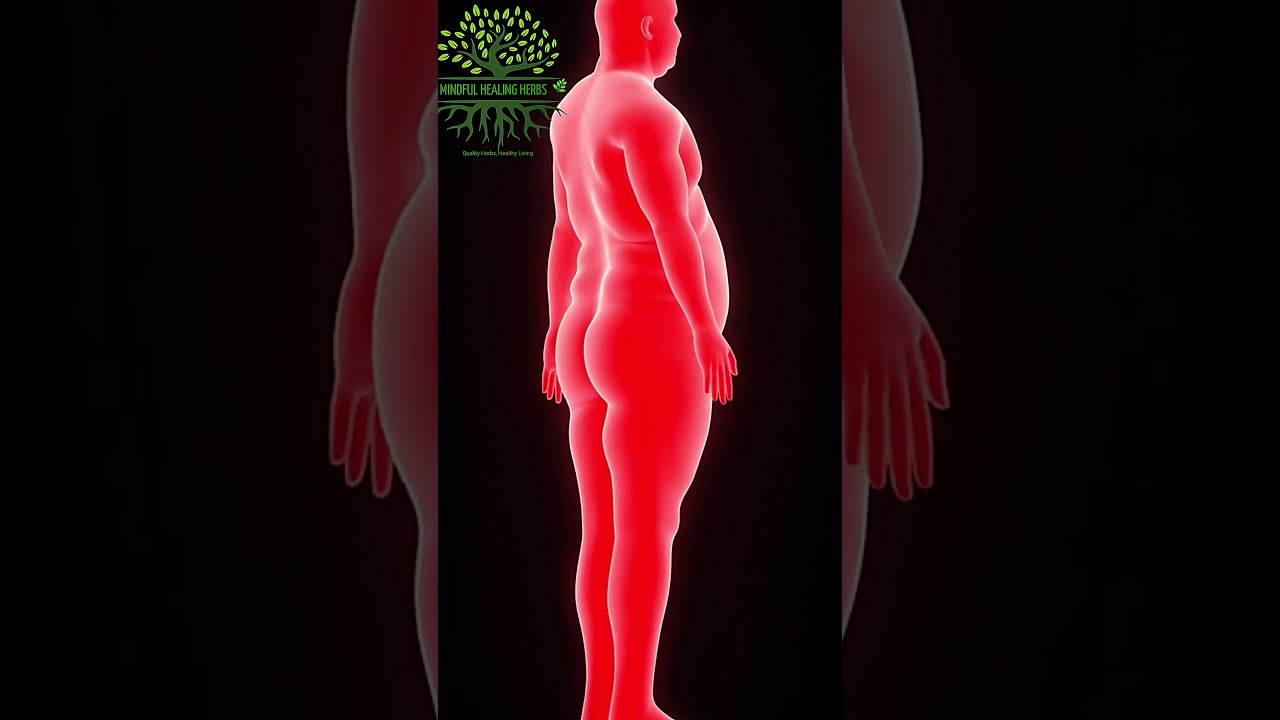 What Happens When You Drink Ginger Tea Daily 