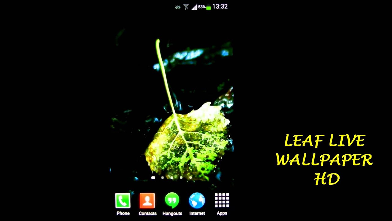 Leaf Live Wallpaper HD YouTube