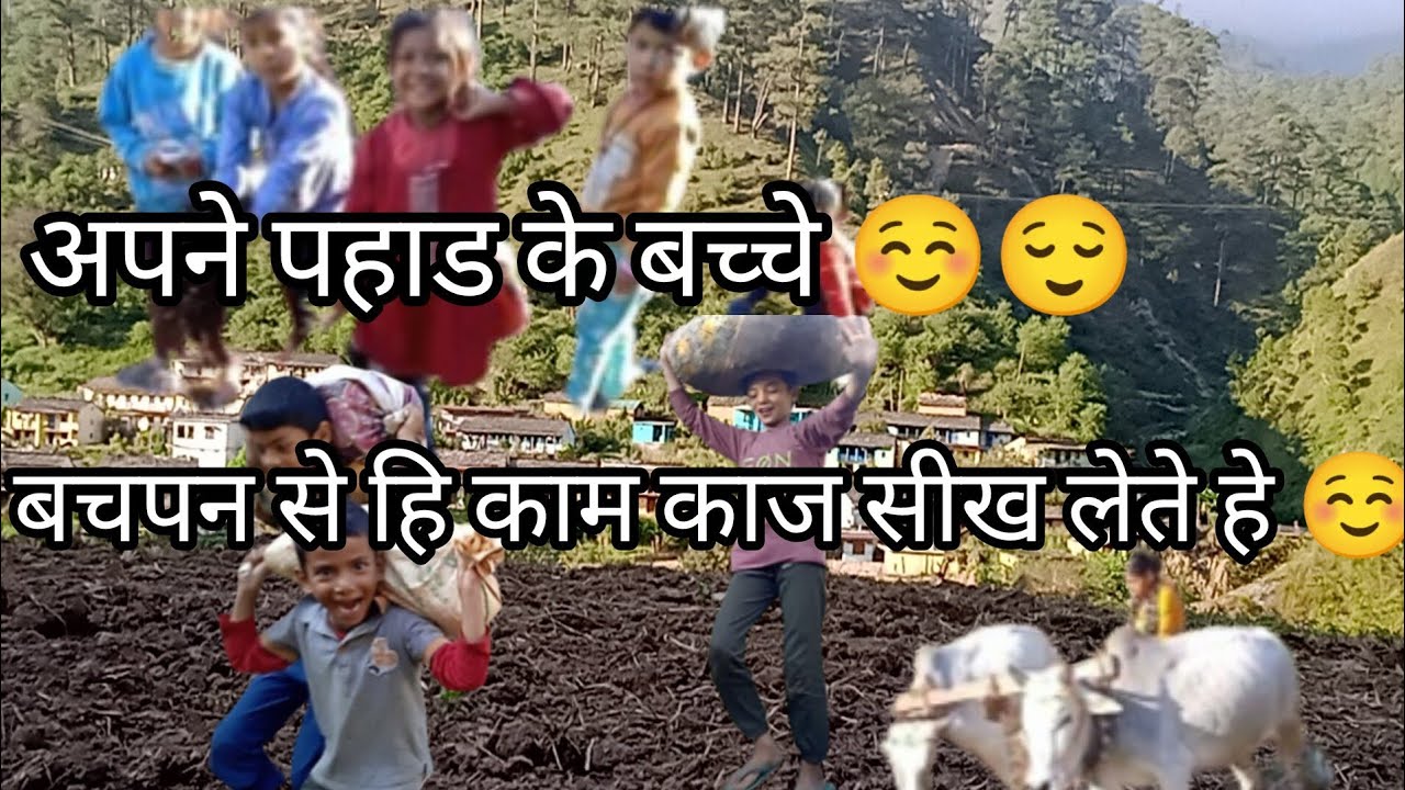 पहाड के बच्चे हम सारा काम  कर लेते हे 😌☺️