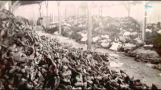 Sonderkommando The Living Dead Of Auschwitz 2009 Lt Pdtv Irmekas Btt Team