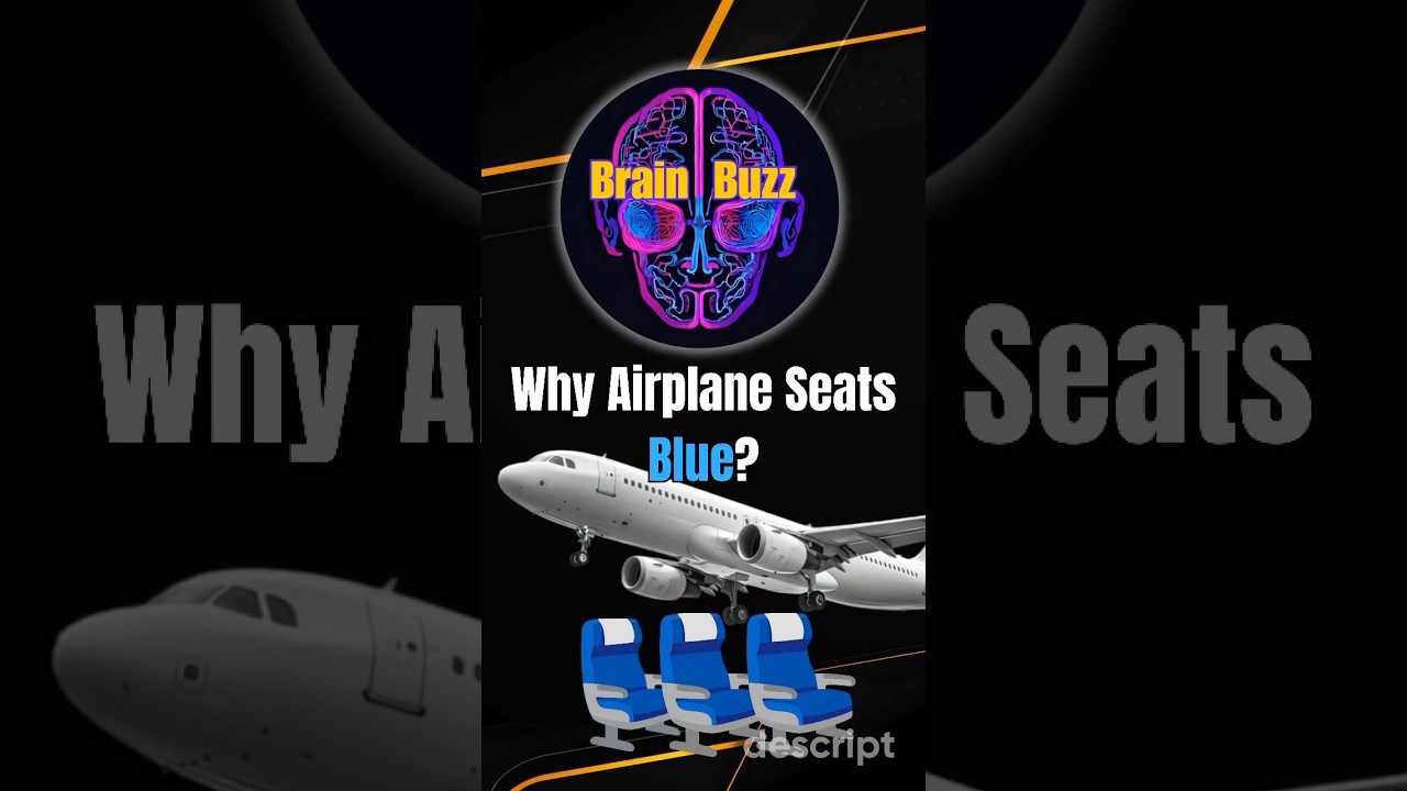 Airplane Seats Are Blue for a Reason—Here’s Why!