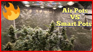 AIR POTS VS SMART POTS - WEEK 6 FLOWER UPDATE