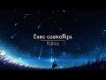 [한글번역] Kokia - EXEC COSMOFLIPS