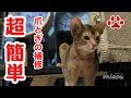 キャットタワーの補修 Mauタワー 専用爪とぎ麻マット【瀬戸の猫部屋日記】